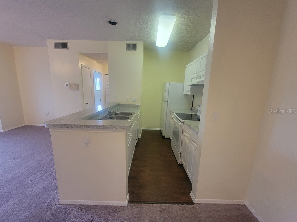 10020 Strafford Oak Court #923 Tampa FL 33624 W7887362 image11