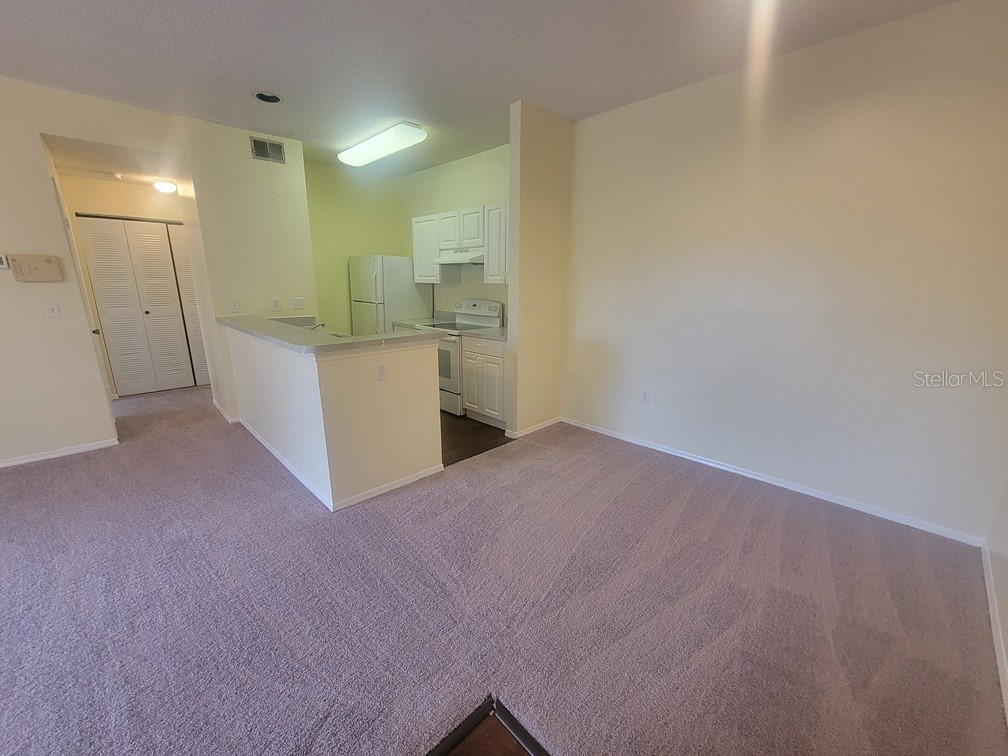 10020 Strafford Oak Court #923 Tampa FL 33624 W7887362 image12