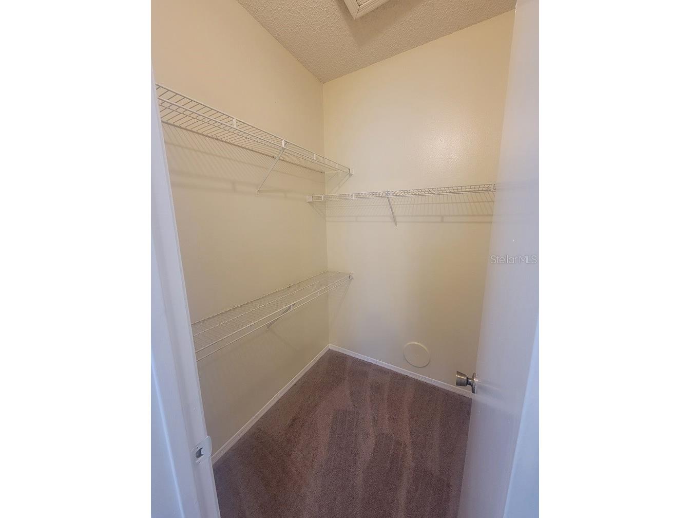 10020 Strafford Oak Court #923 Tampa FL 33624 W7887362 image15
