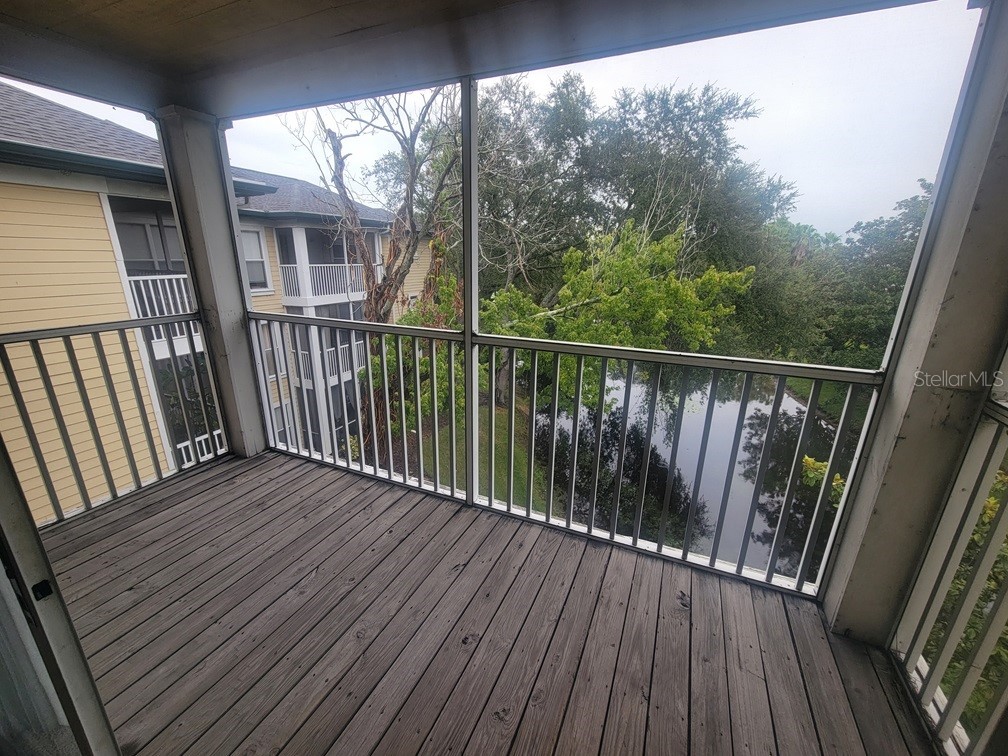 10020 Strafford Oak Court #923 Tampa FL 33624 W7887362 image2