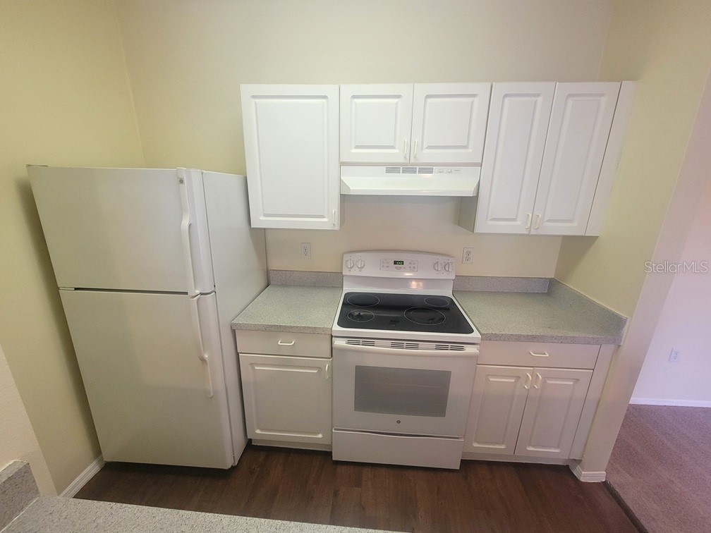 10020 Strafford Oak Court #923 Tampa FL 33624 W7887362 image9