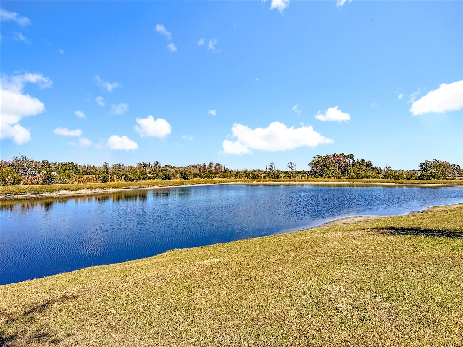 10021 Campanula Court Land O Lakes FL 34637 TB8474006 image5