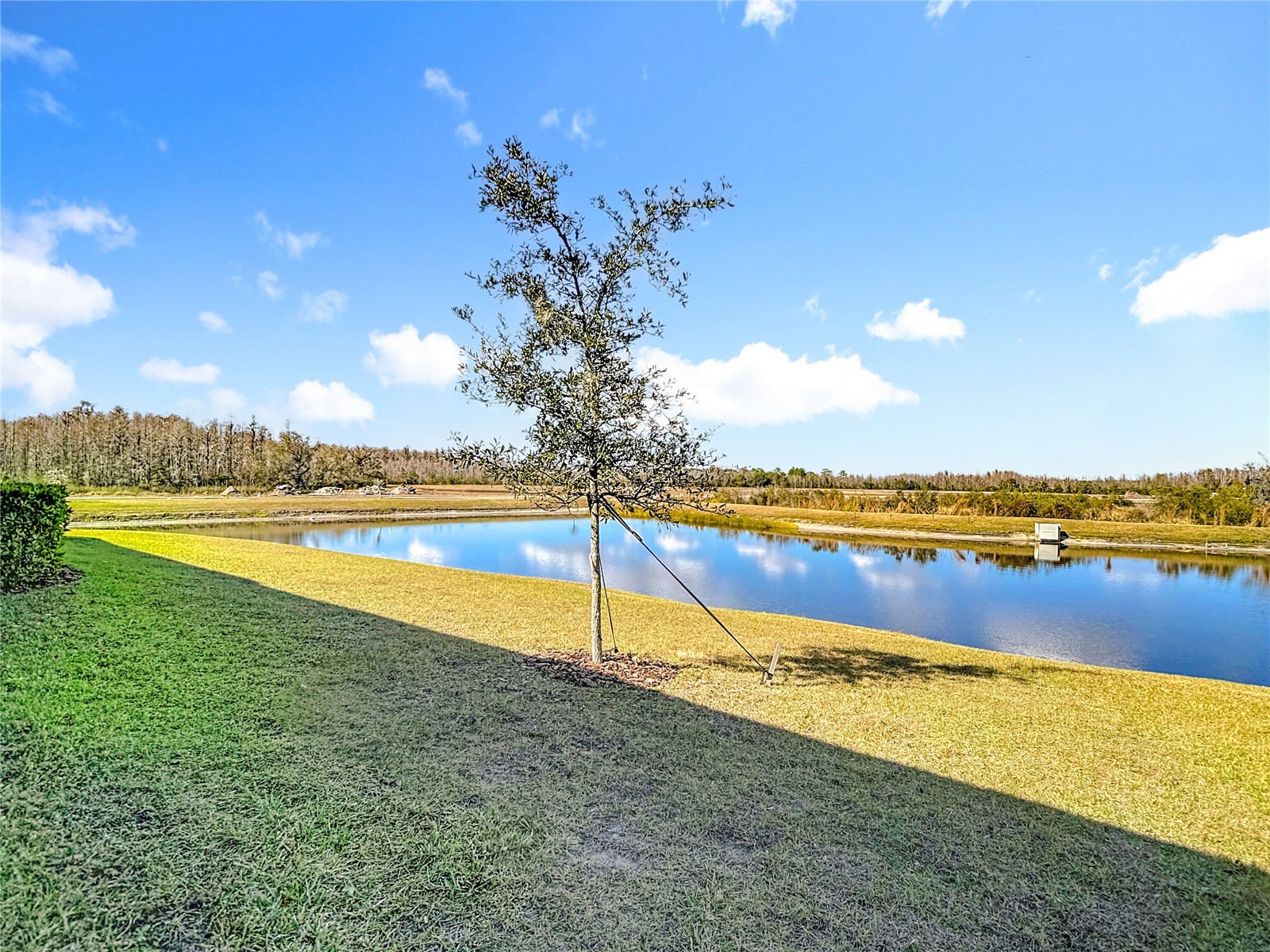 10021 Campanula Court Land O Lakes FL 34637 TB8474006 image67