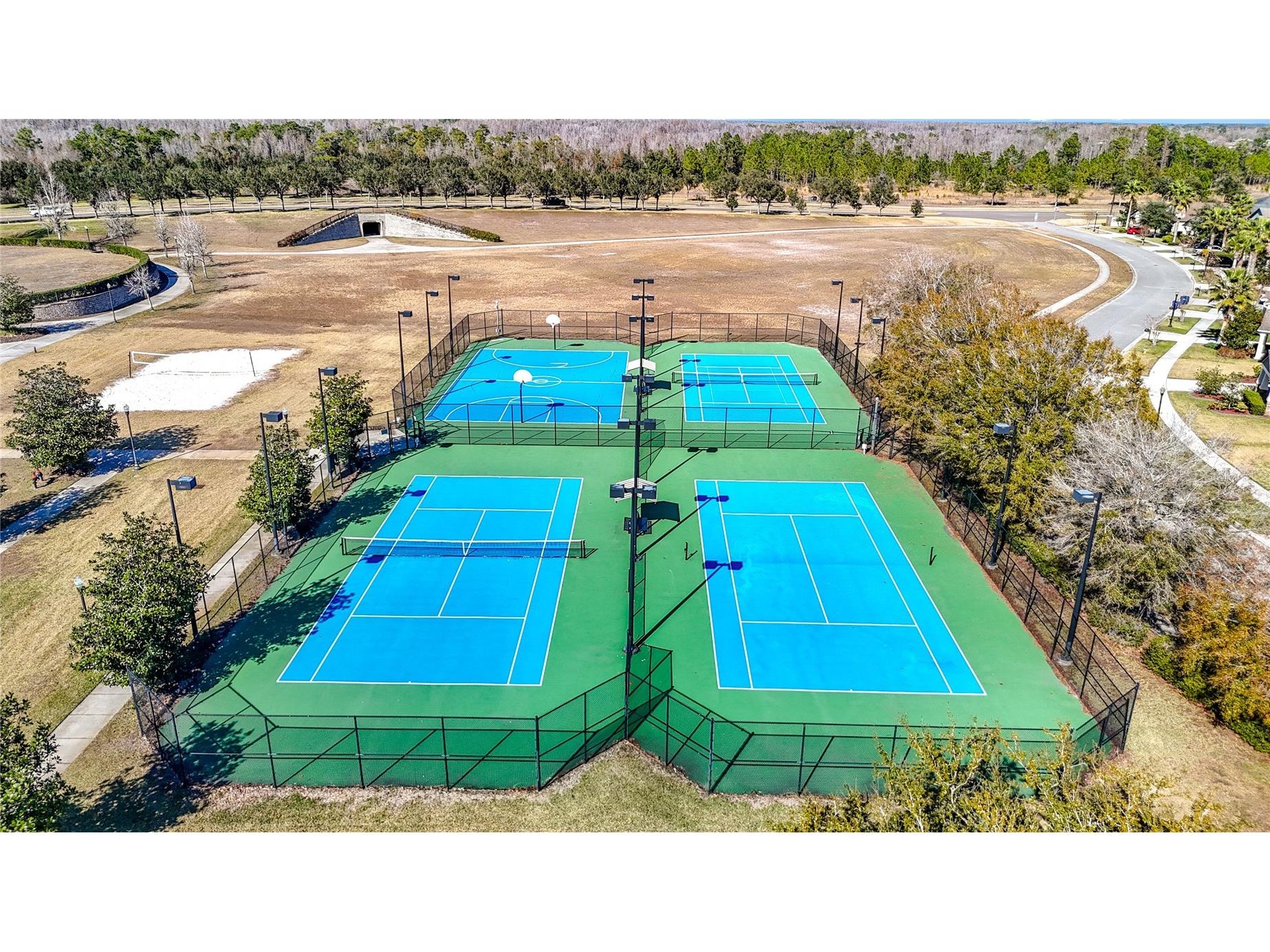 10021 Campanula Court Land O Lakes FL 34637 TB8474006 image69