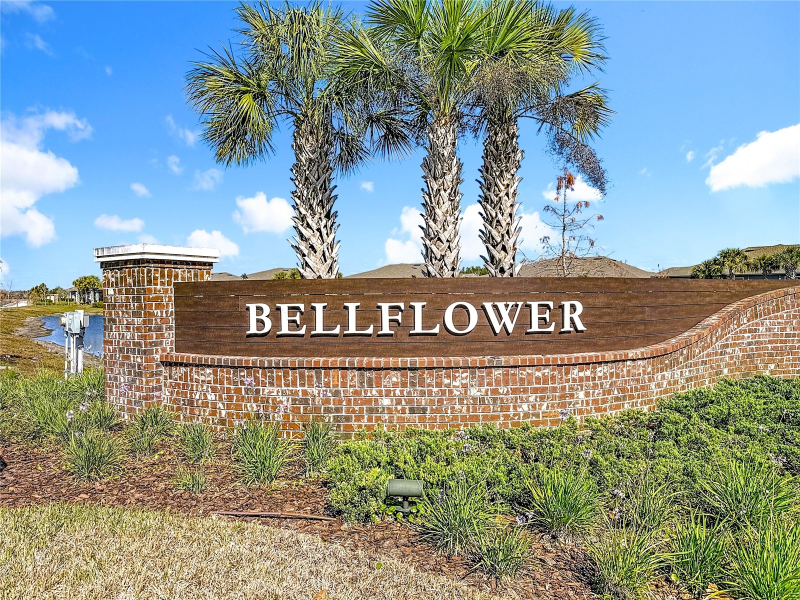 10021 Campanula Court Land O Lakes FL 34637 TB8474006 image82
