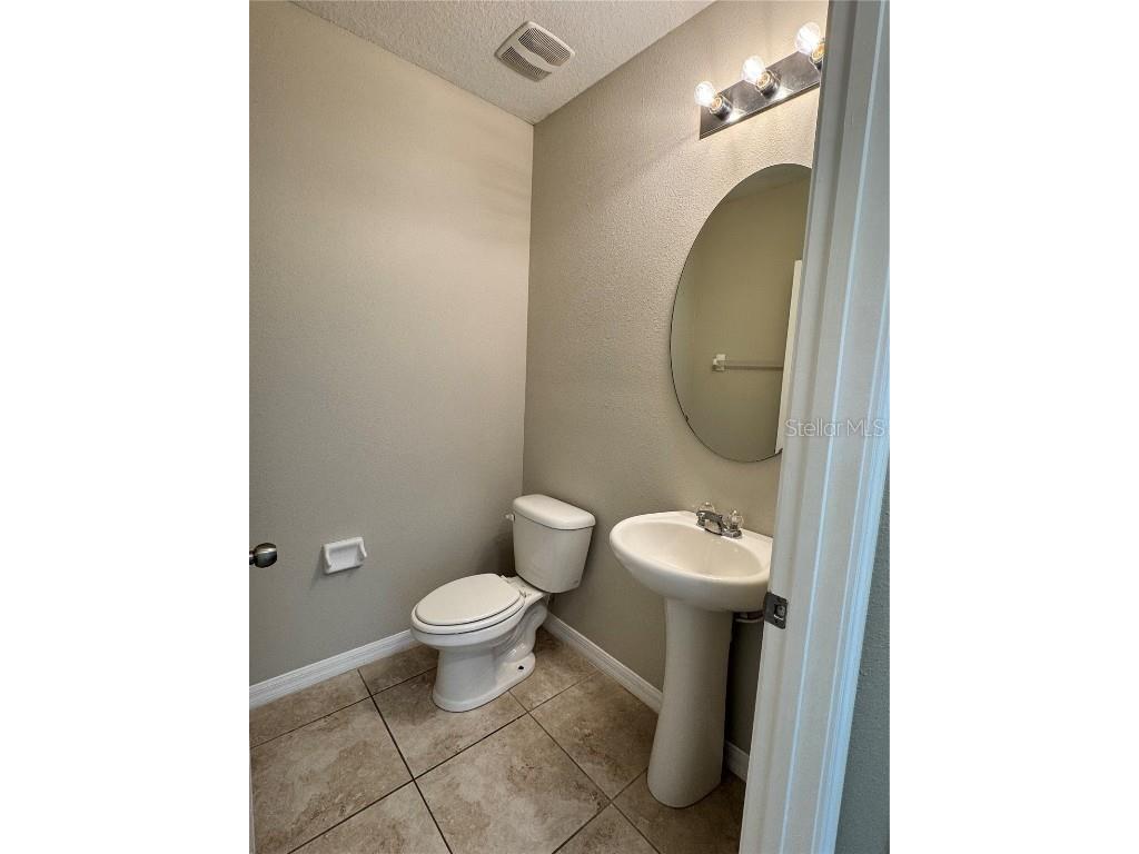 10021 Crested Fringe Drive Riverview FL 33578 TB8429806 image10