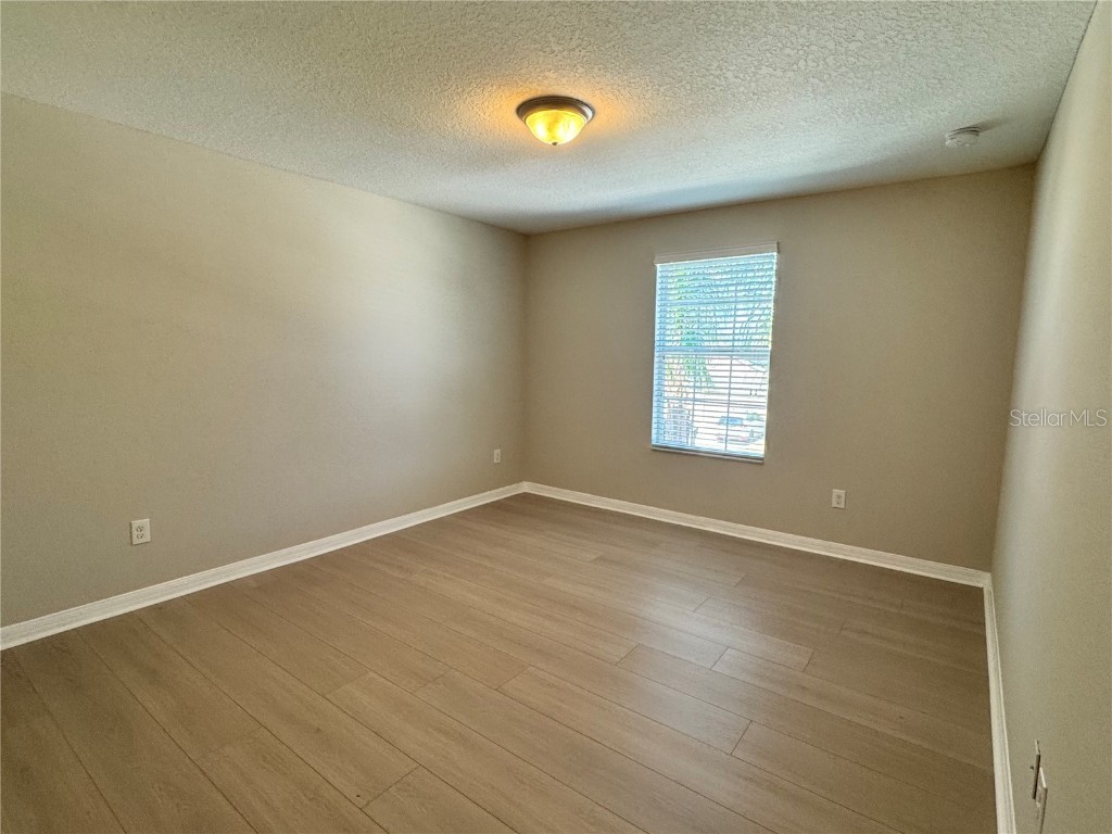 10021 Crested Fringe Drive Riverview FL 33578 TB8429806 image20