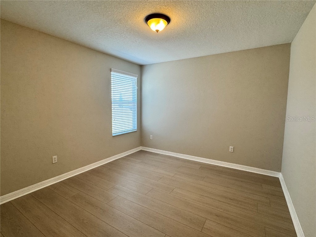 10021 Crested Fringe Drive Riverview FL 33578 TB8429806 image24