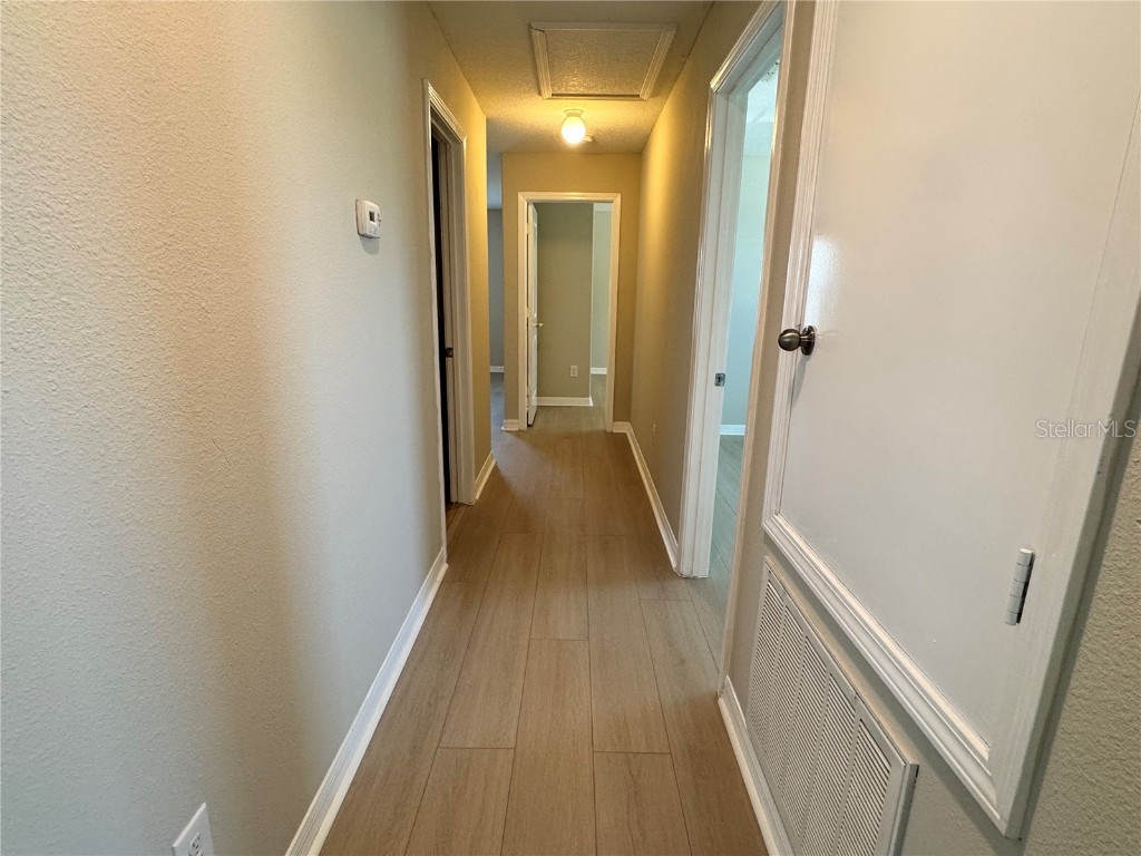 10021 Crested Fringe Drive Riverview FL 33578 TB8429806 image26