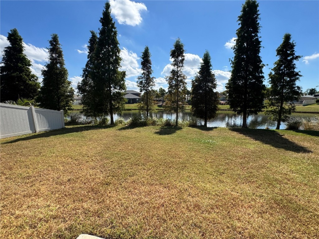 10021 Crested Fringe Drive Riverview FL 33578 TB8429806 image30