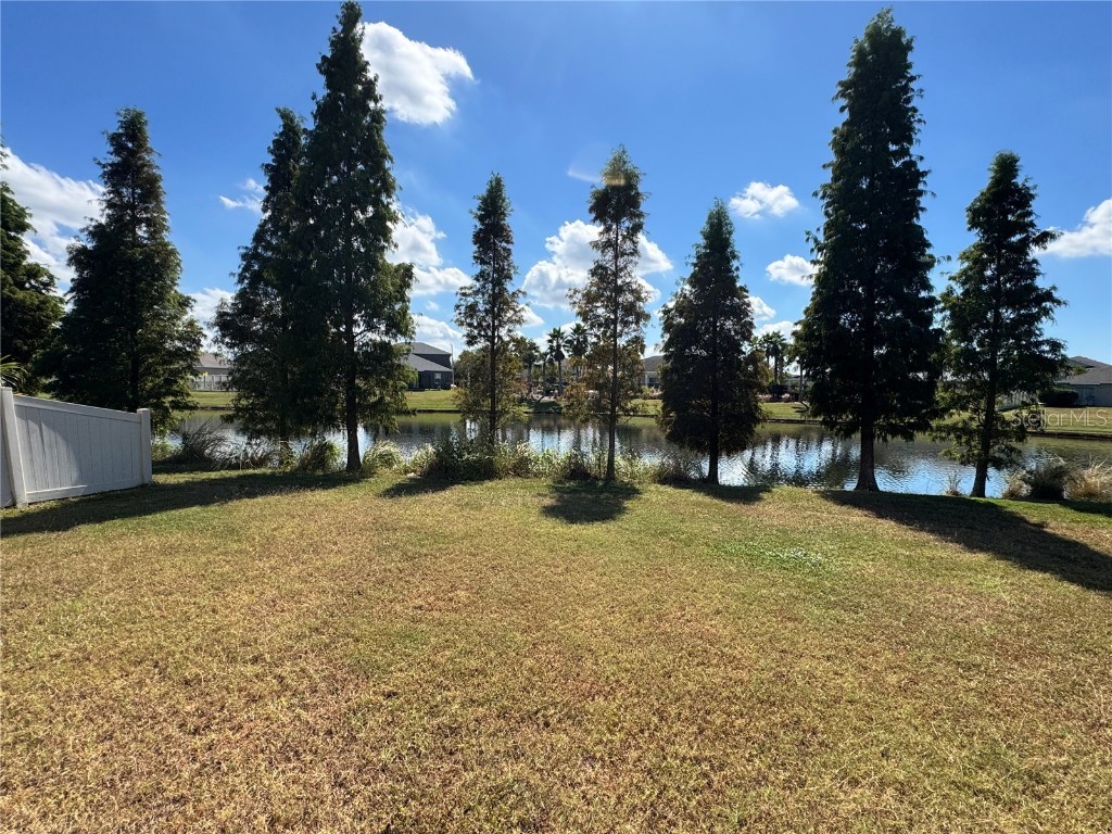 10021 Crested Fringe Drive Riverview FL 33578 TB8429806 image32