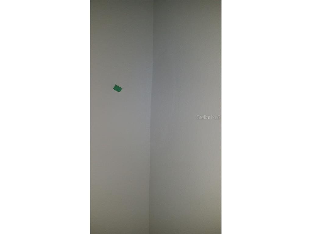 10021 Love Story Street Winter Garden FL 34787 S5129568 image13