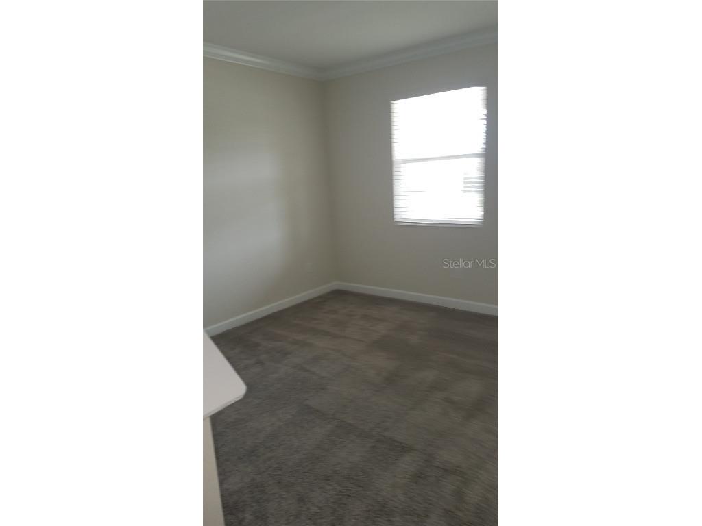 10021 Love Story Street Winter Garden FL 34787 S5129568 image3