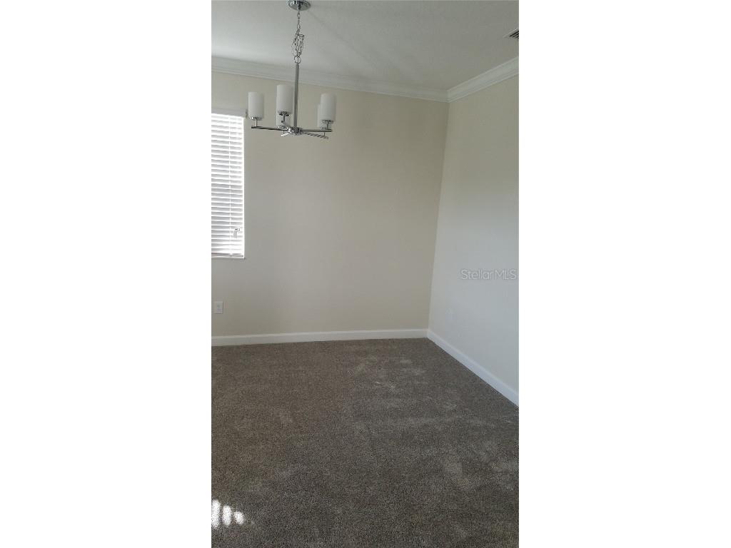 10021 Love Story Street Winter Garden FL 34787 S5129568 image6