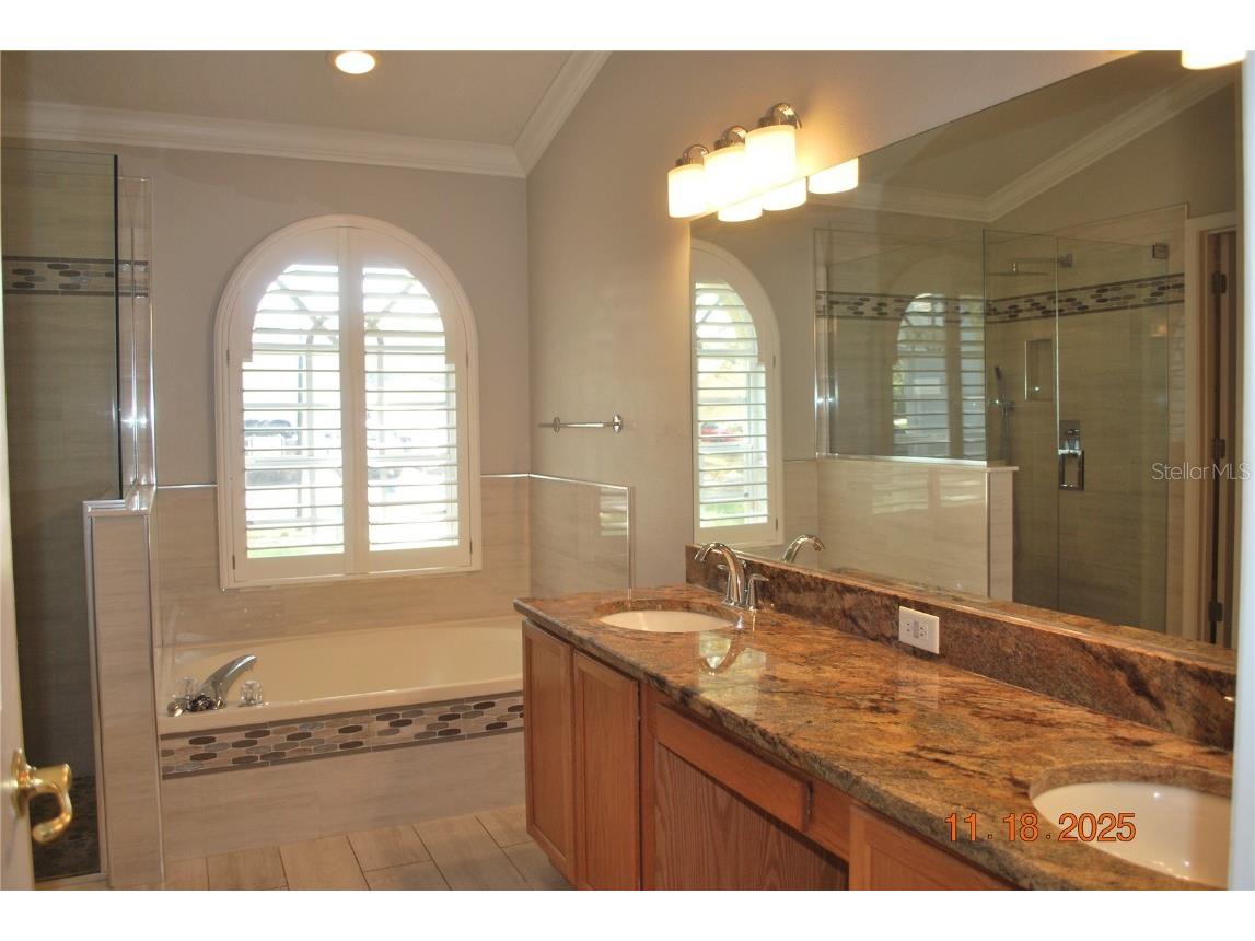 10021 Remington Drive Riverview FL 33578 TB8427892 image18