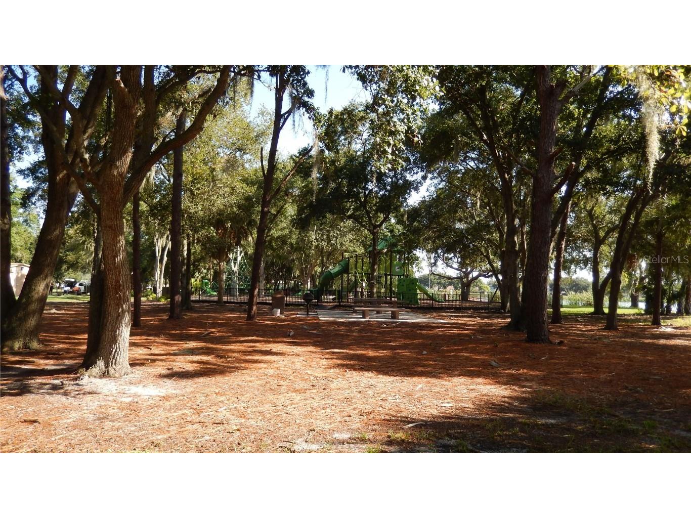 10021 Remington Drive Riverview FL 33578 TB8427892 image24