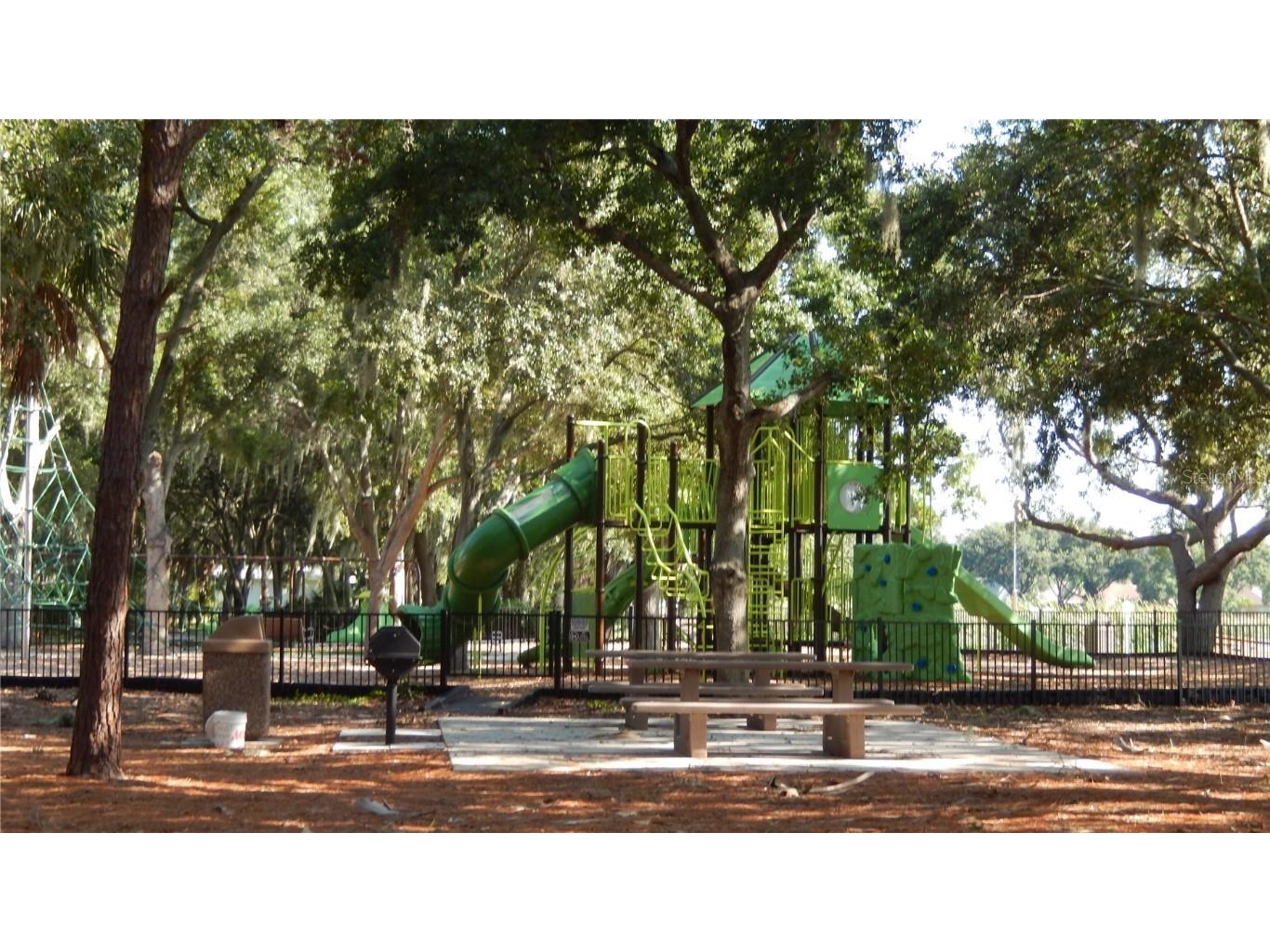 10021 Remington Drive Riverview FL 33578 TB8427892 image25