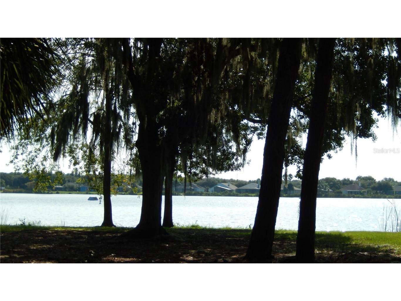 10021 Remington Drive Riverview FL 33578 TB8427892 image26