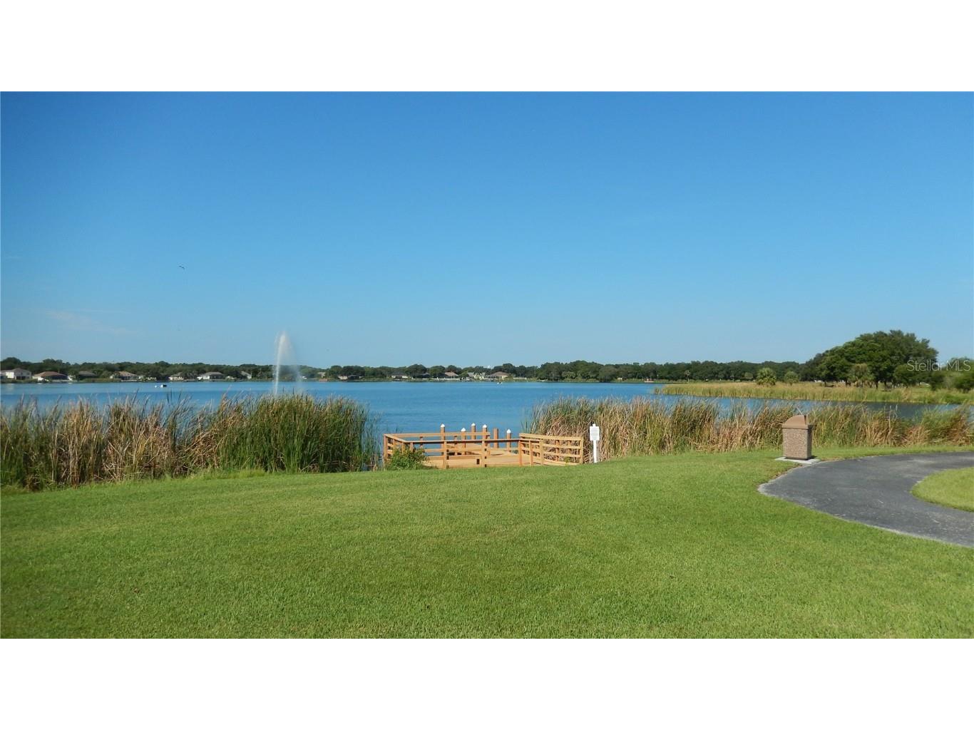 10021 Remington Drive Riverview FL 33578 TB8427892 image29