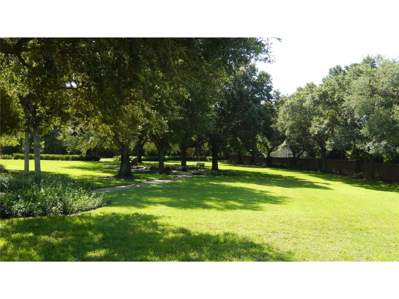 10021 Remington Drive Riverview FL 33578 TB8427892 image30