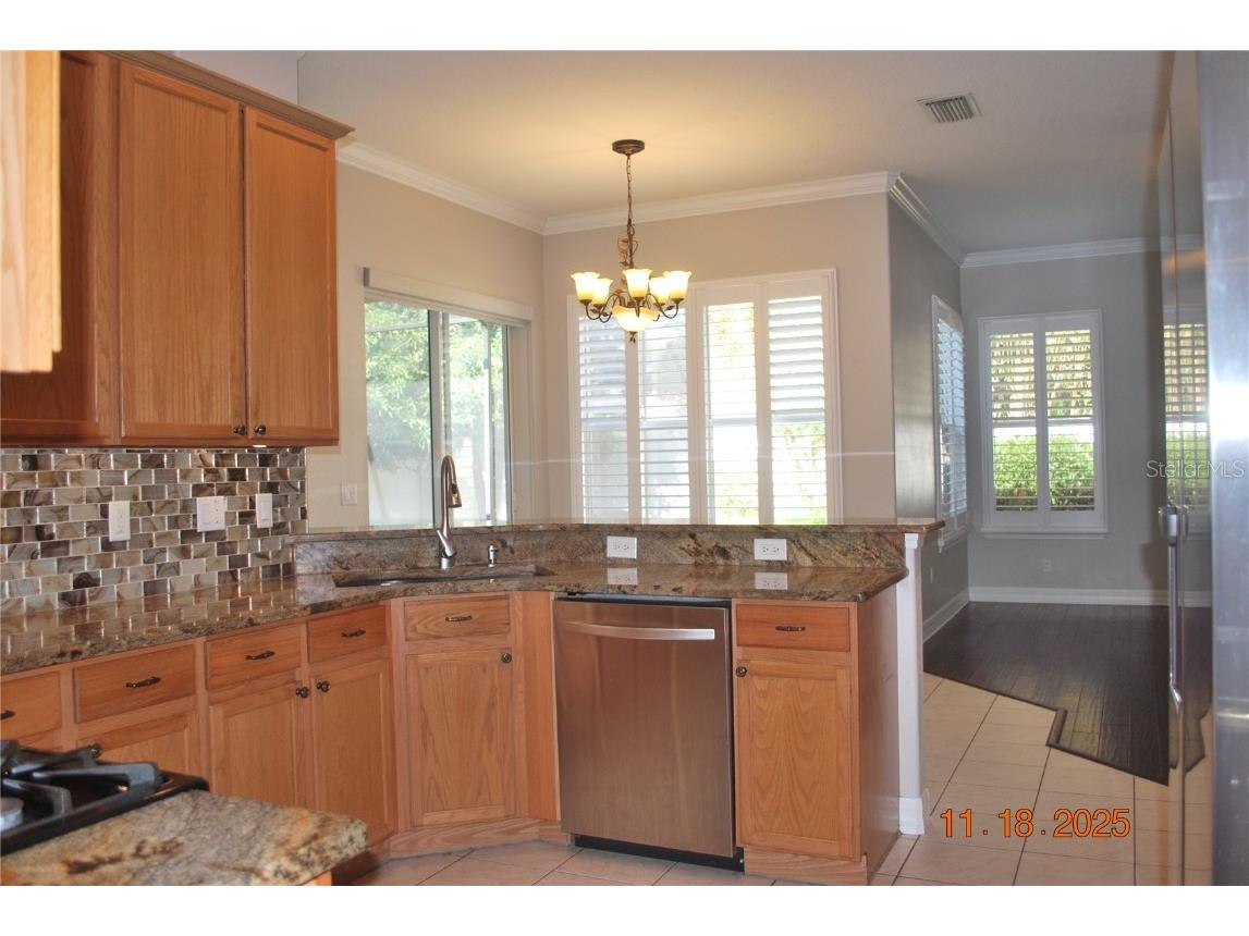 10021 Remington Drive Riverview FL 33578 TB8427892 image7