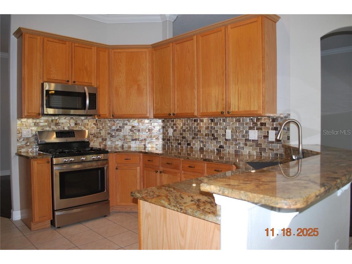 10021 Remington Drive Riverview FL 33578 TB8427892 image8