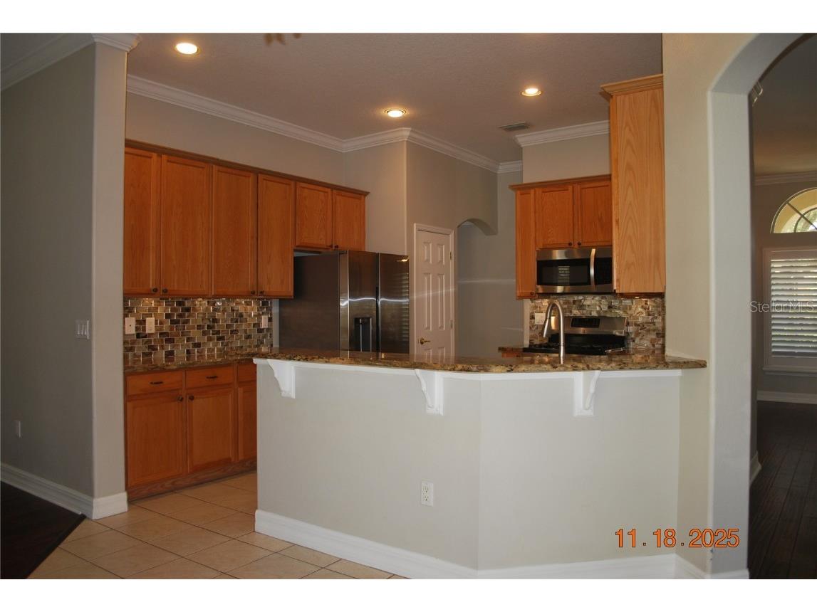 10021 Remington Drive Riverview FL 33578 TB8427892 image9