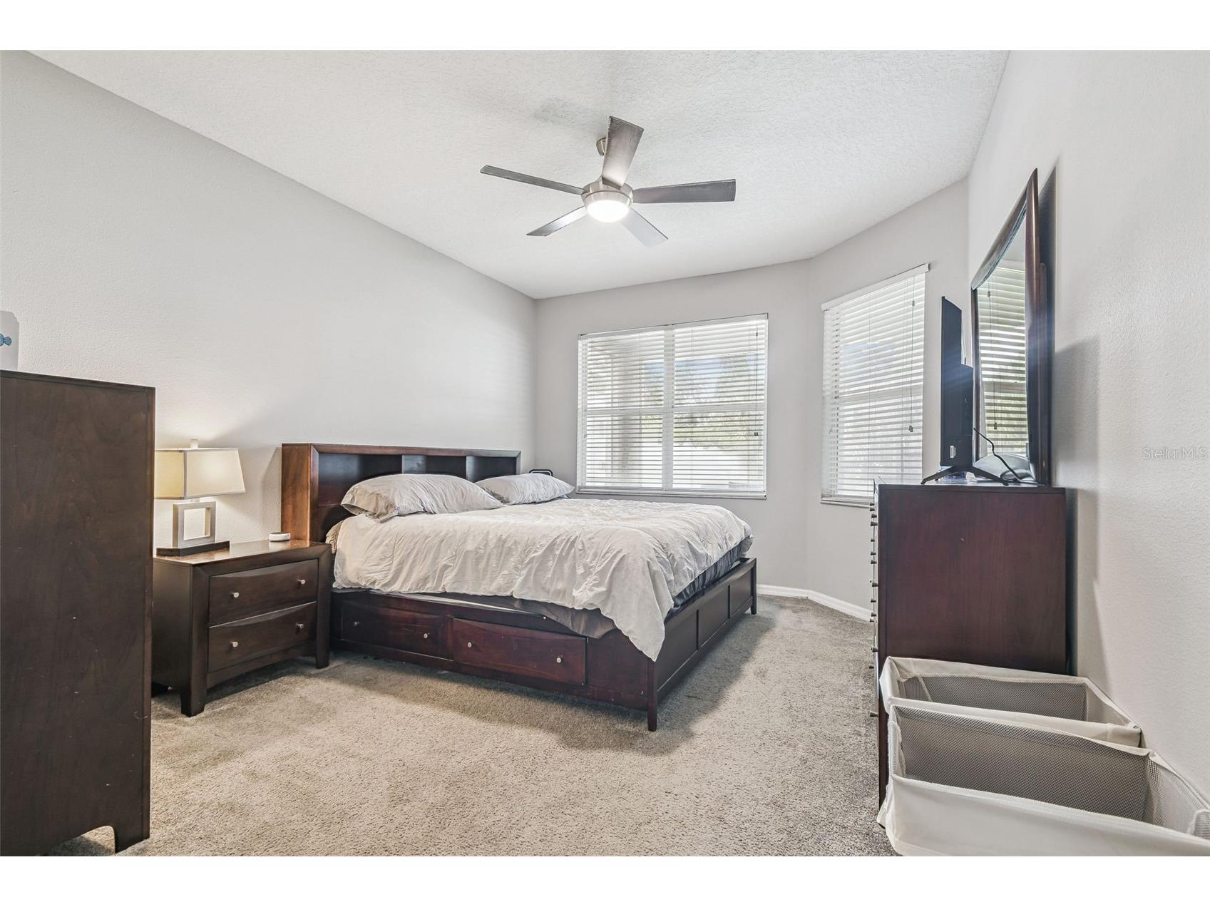 10022 Cannon Drive Riverview FL 33578 TB8480047 image18