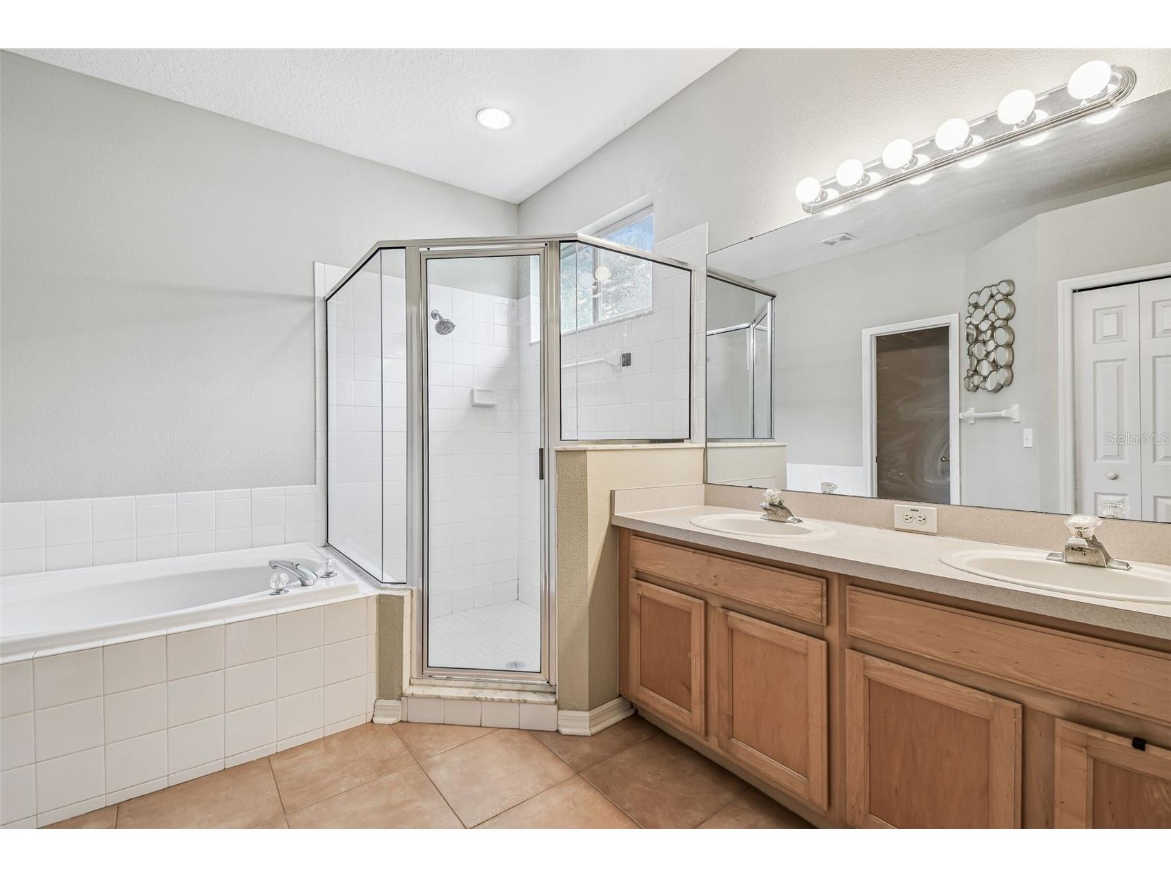 10022 Cannon Drive Riverview FL 33578 TB8480047 image20