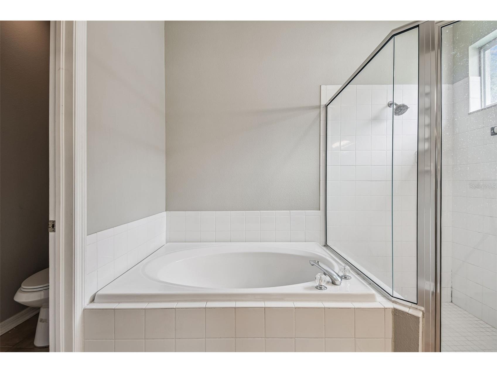 10022 Cannon Drive Riverview FL 33578 TB8480047 image21