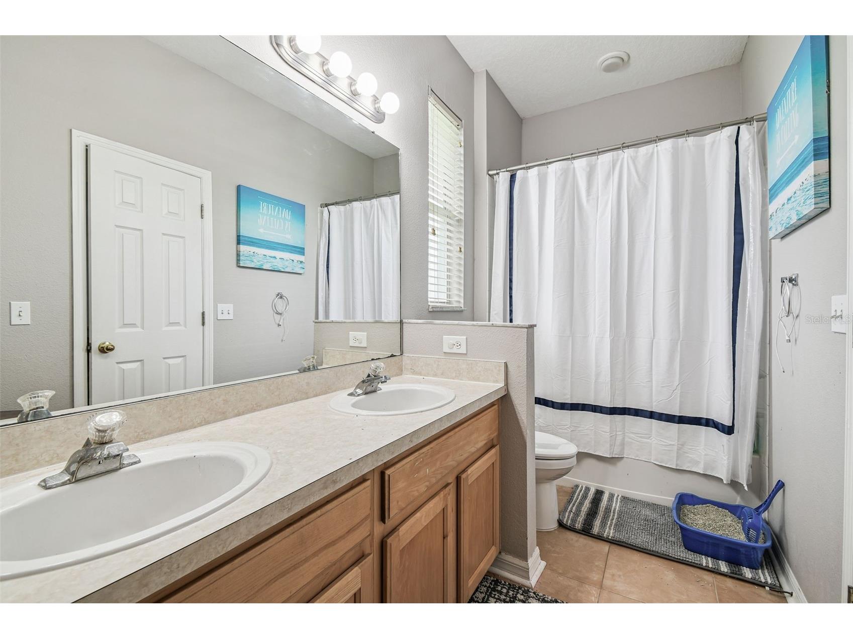 10022 Cannon Drive Riverview FL 33578 TB8480047 image24
