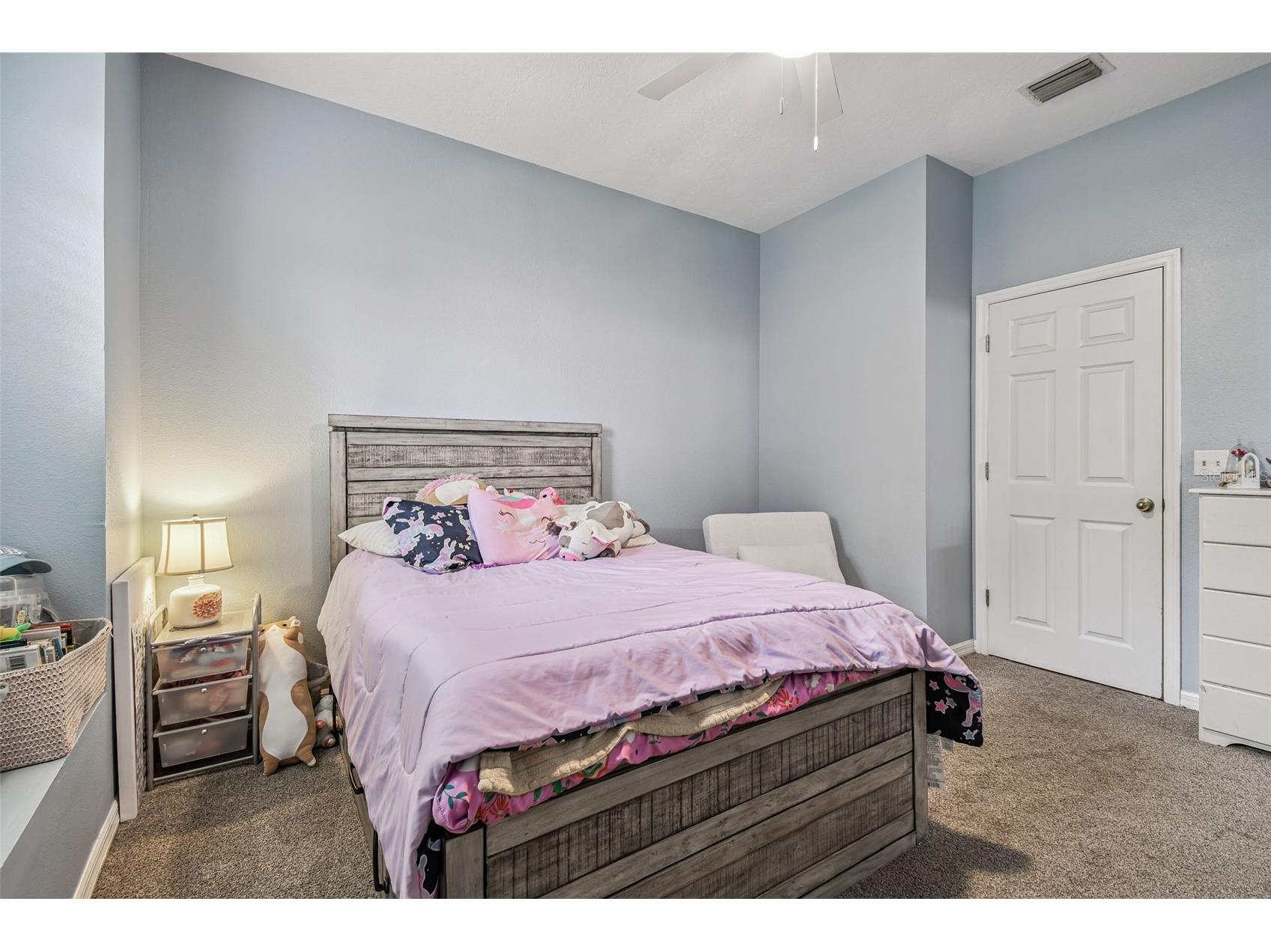10022 Cannon Drive Riverview FL 33578 TB8480047 image25