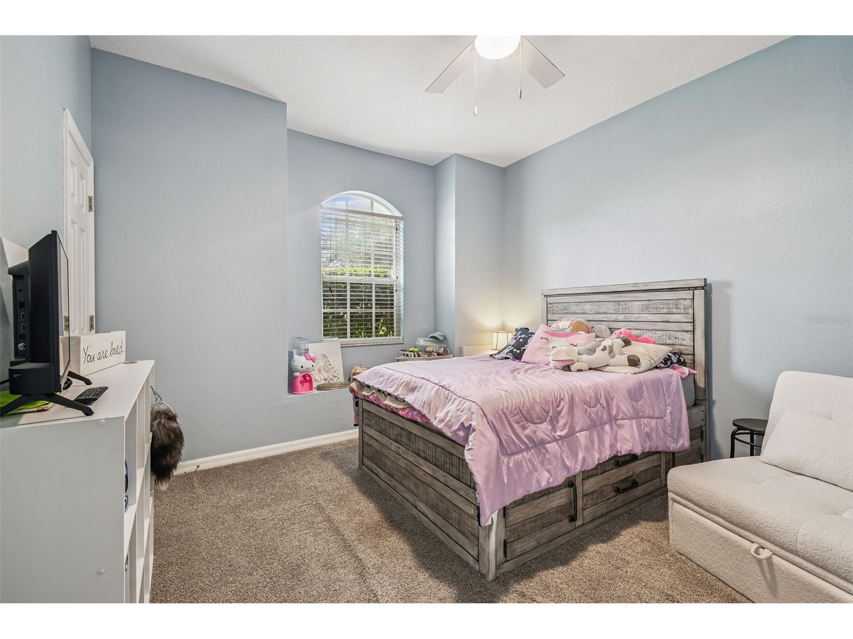 10022 Cannon Drive Riverview FL 33578 TB8480047 image26