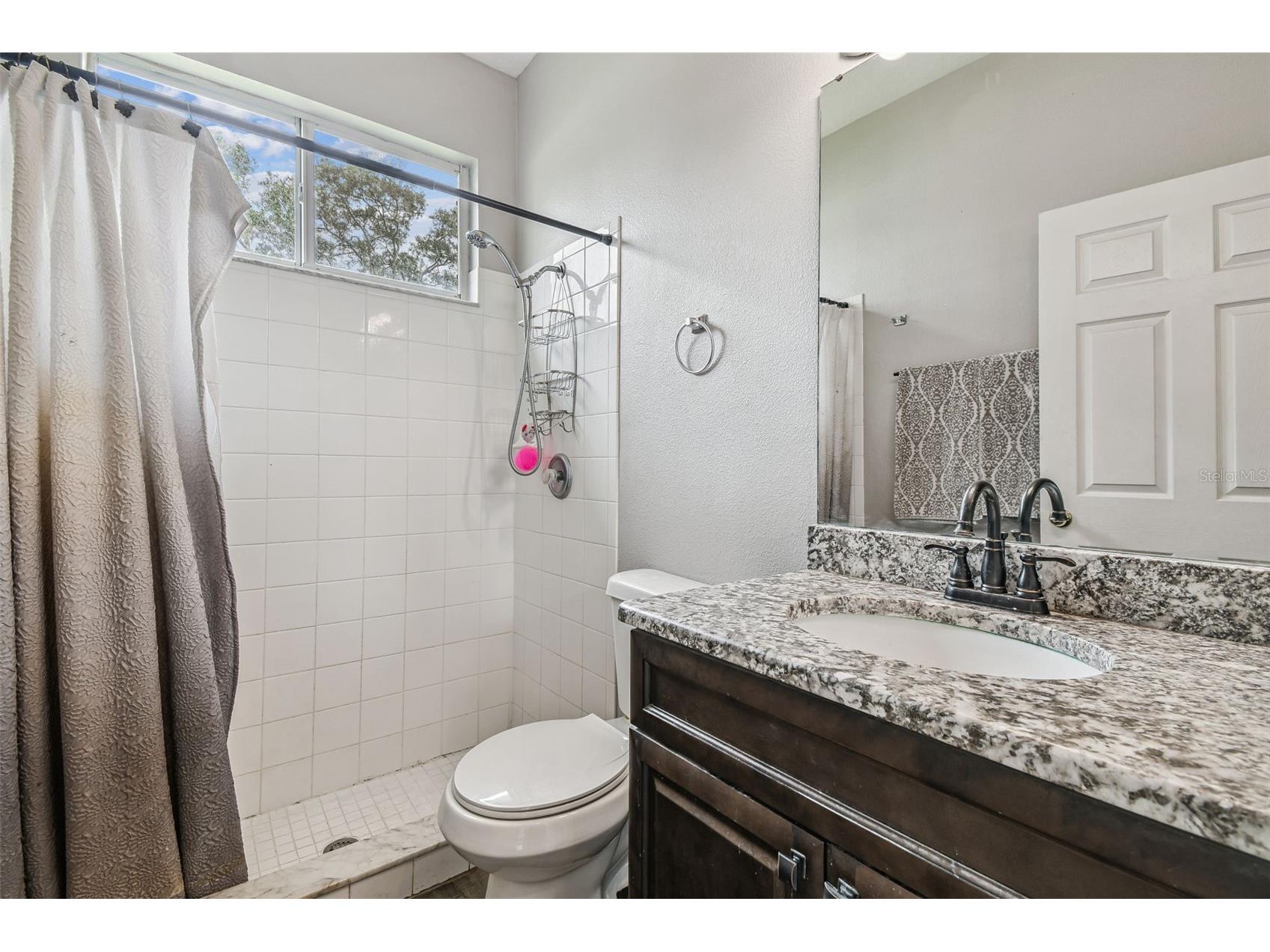 10022 Cannon Drive Riverview FL 33578 TB8480047 image27