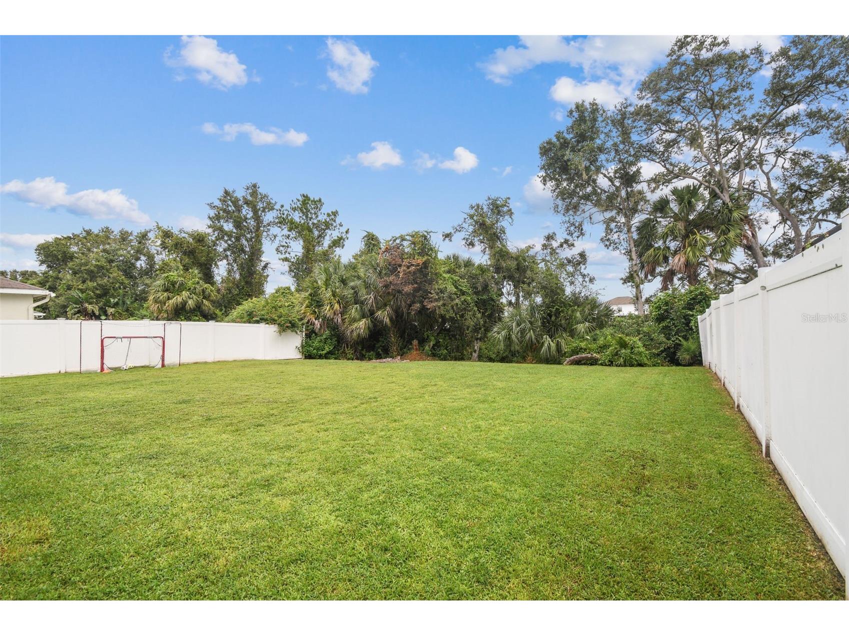 10022 Cannon Drive Riverview FL 33578 TB8480047 image35
