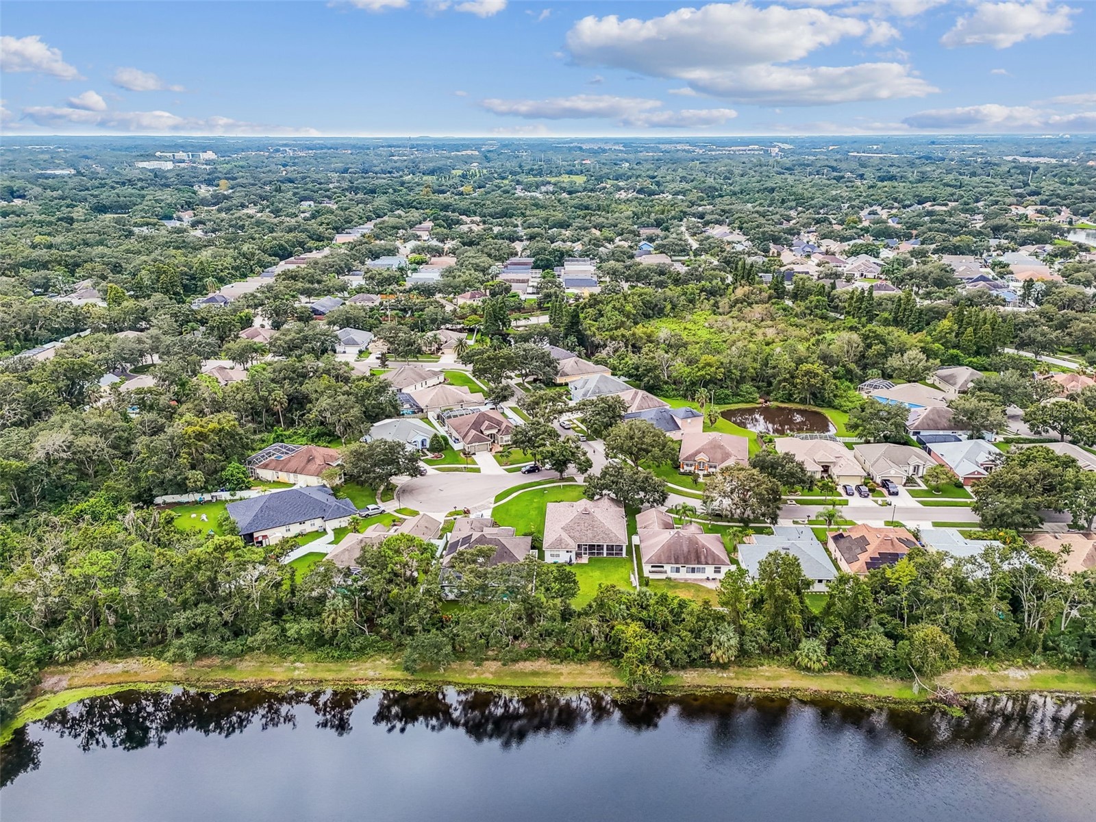 10022 Cannon Drive Riverview FL 33578 TB8480047 image41