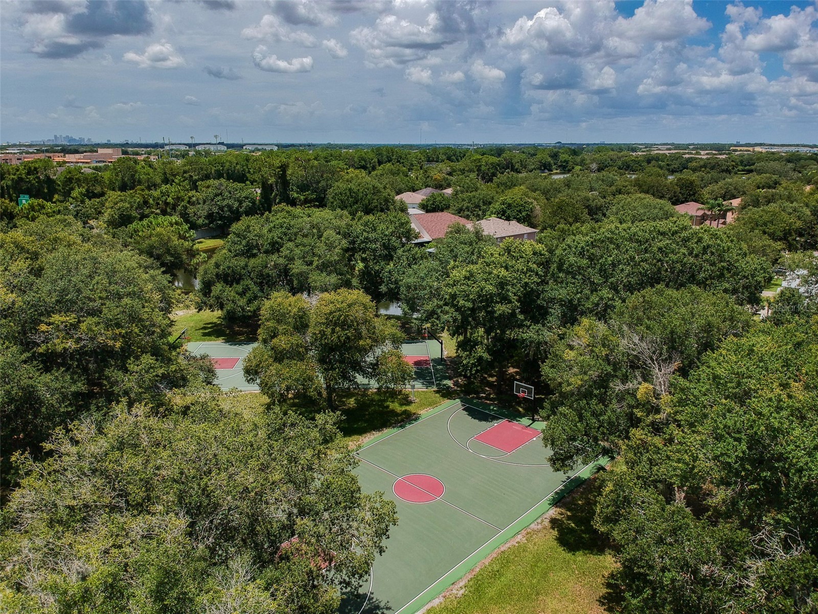 10022 Cannon Drive Riverview FL 33578 TB8480047 image52