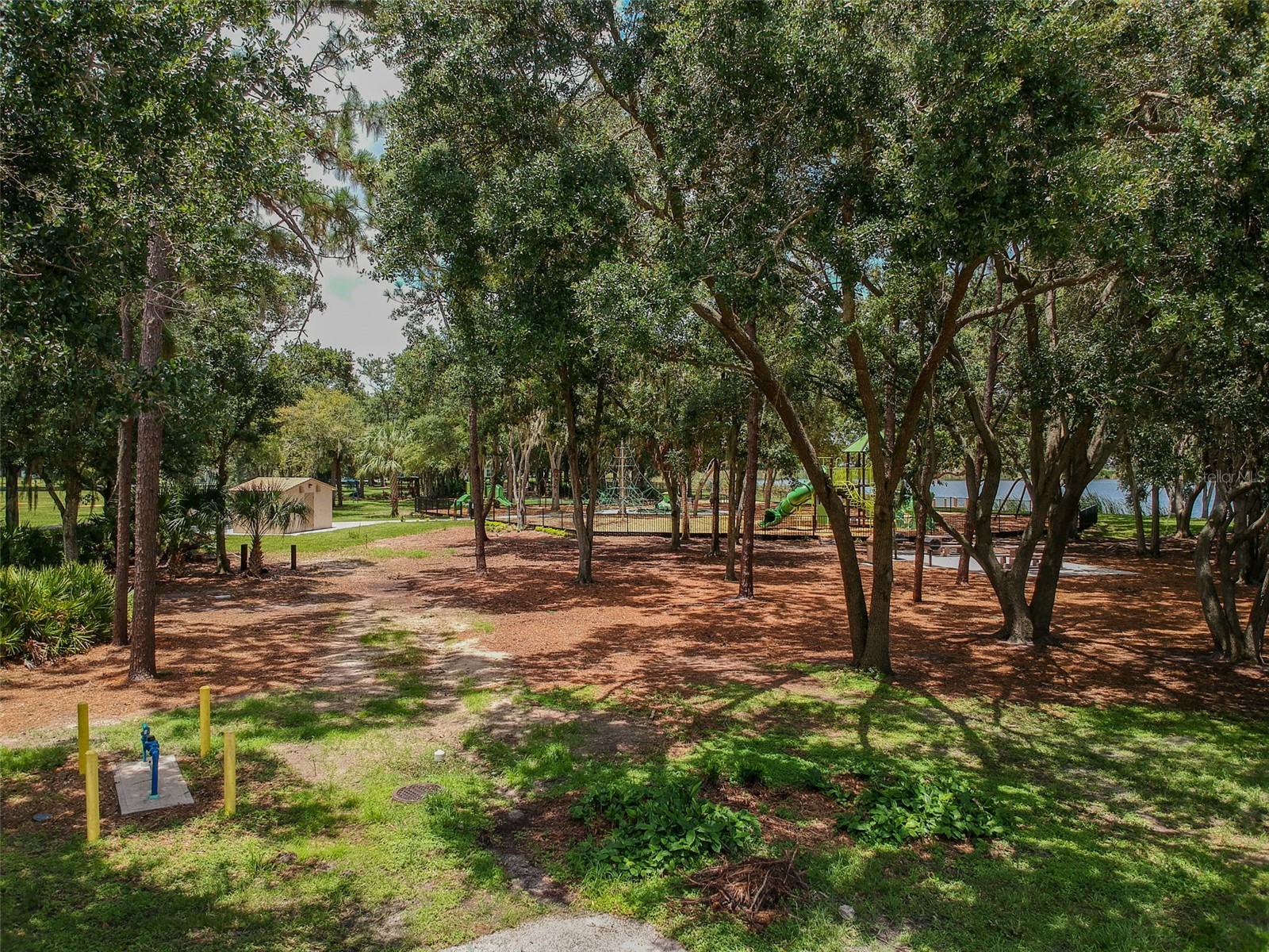 10022 Cannon Drive Riverview FL 33578 TB8480047 image56