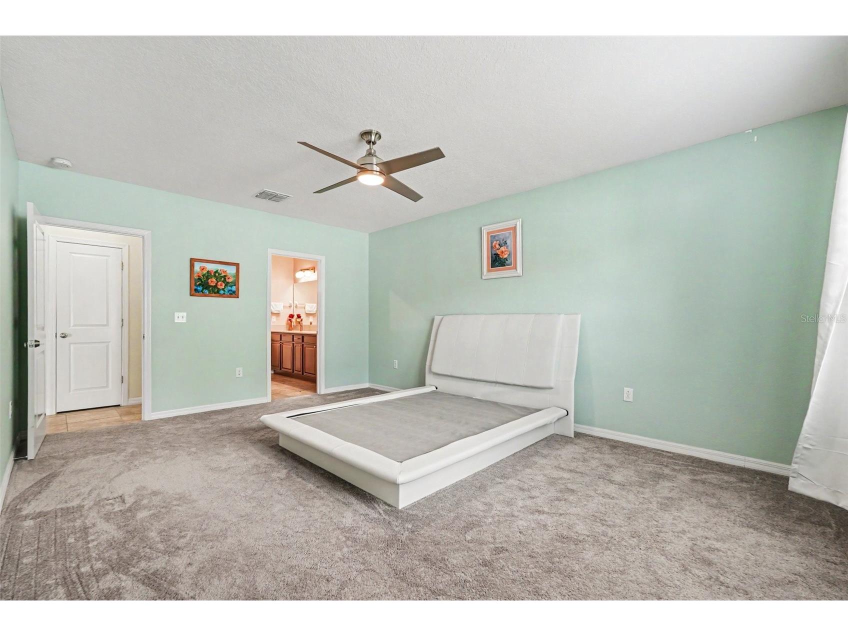 10022 Carloway Hills Drive Wimauma FL 33598 TB8520232 image16