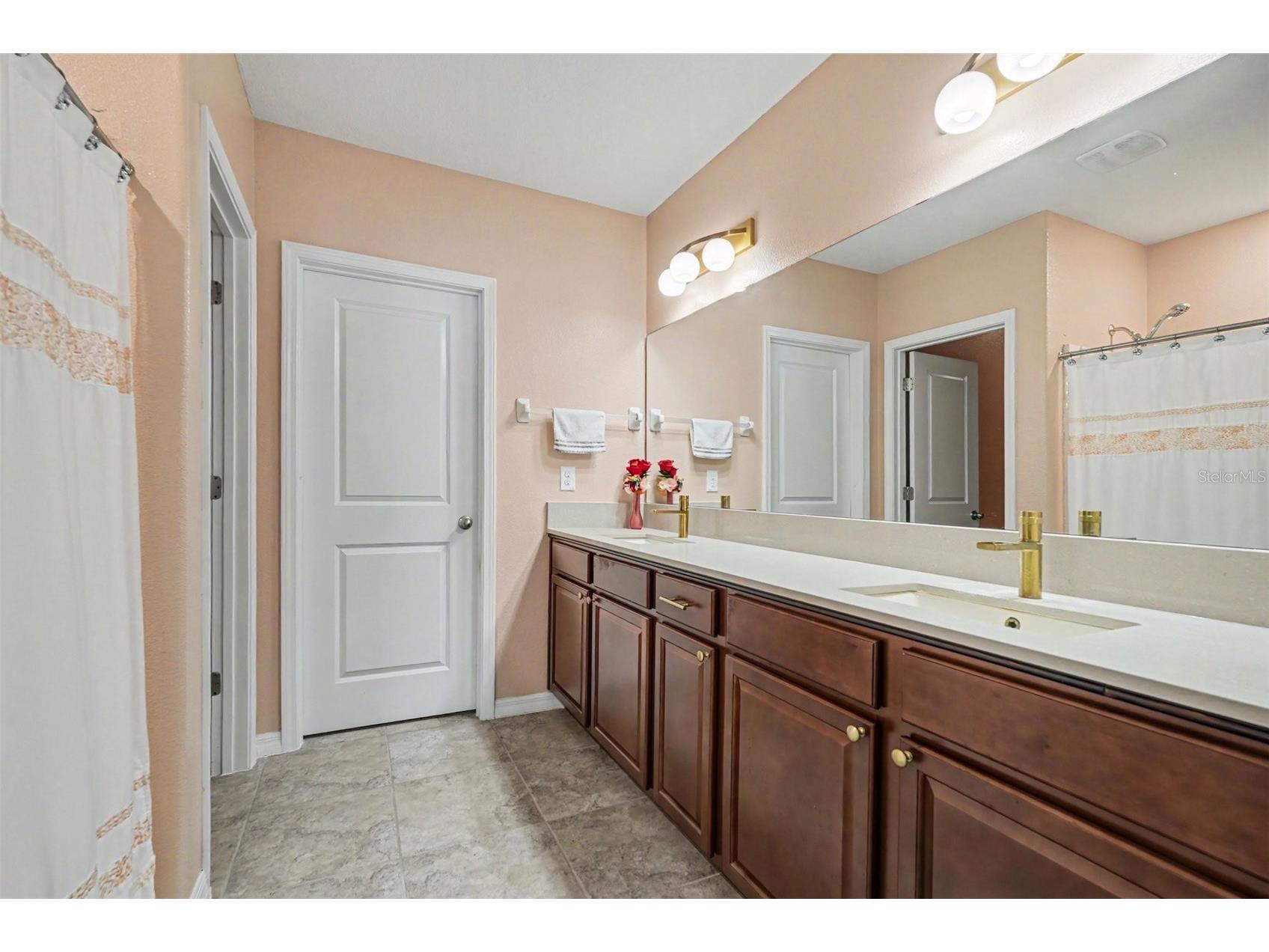10022 Carloway Hills Drive Wimauma FL 33598 TB8520232 image17
