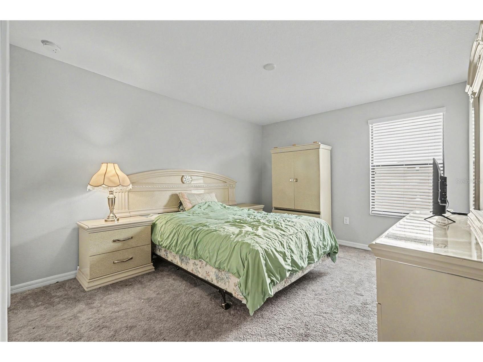 10022 Carloway Hills Drive Wimauma FL 33598 TB8520232 image18