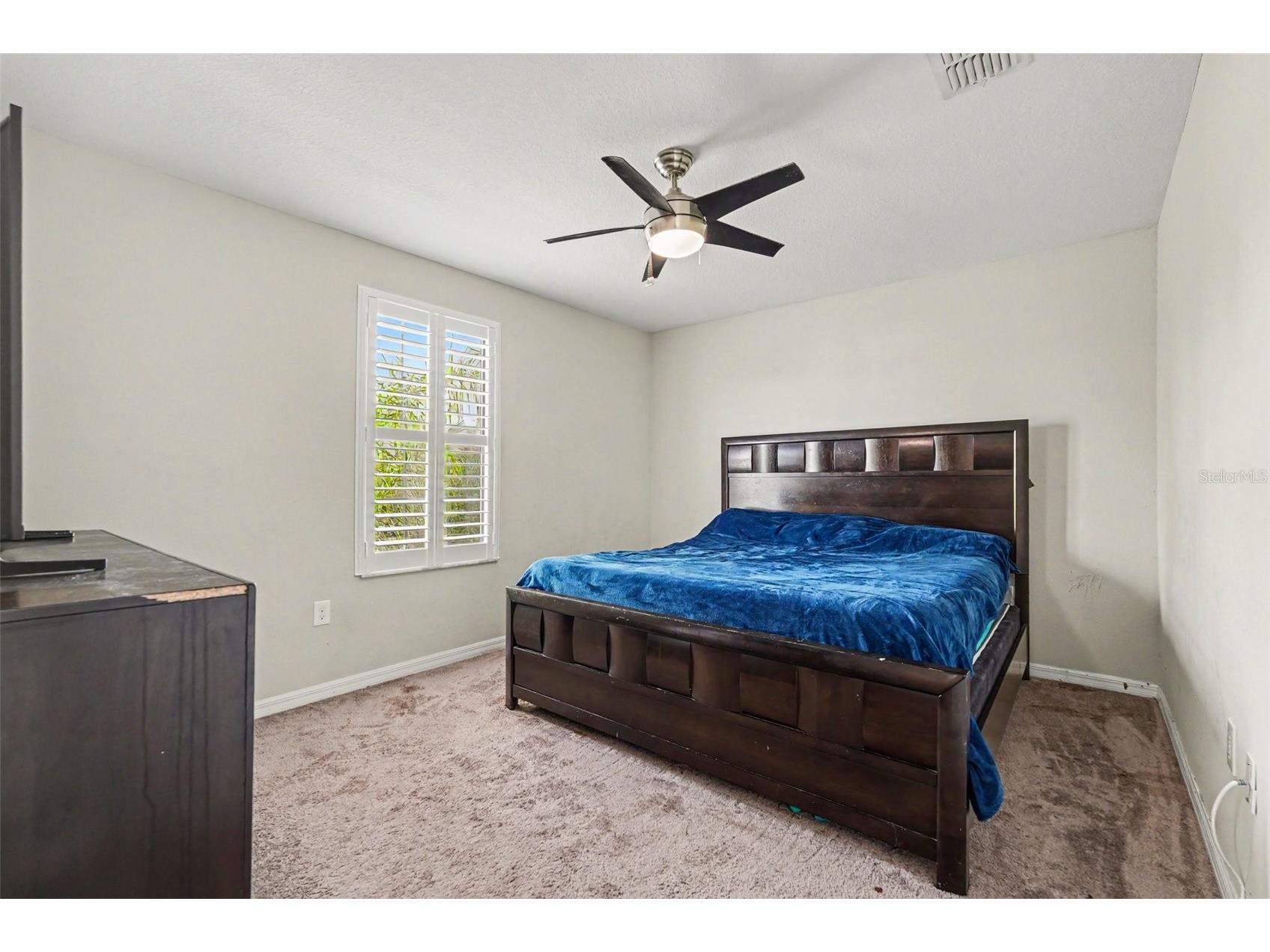 10022 Carloway Hills Drive Wimauma FL 33598 TB8520232 image19