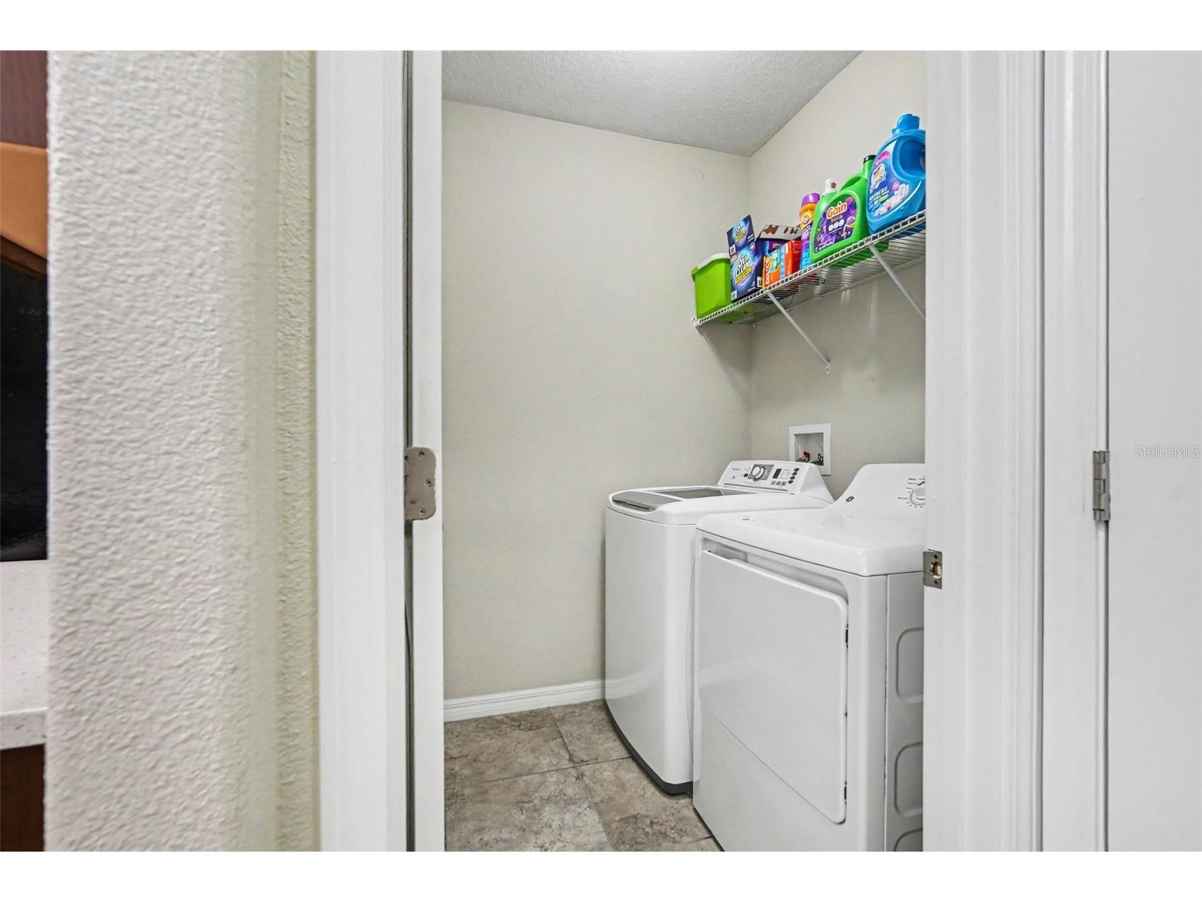10022 Carloway Hills Drive Wimauma FL 33598 TB8520232 image23