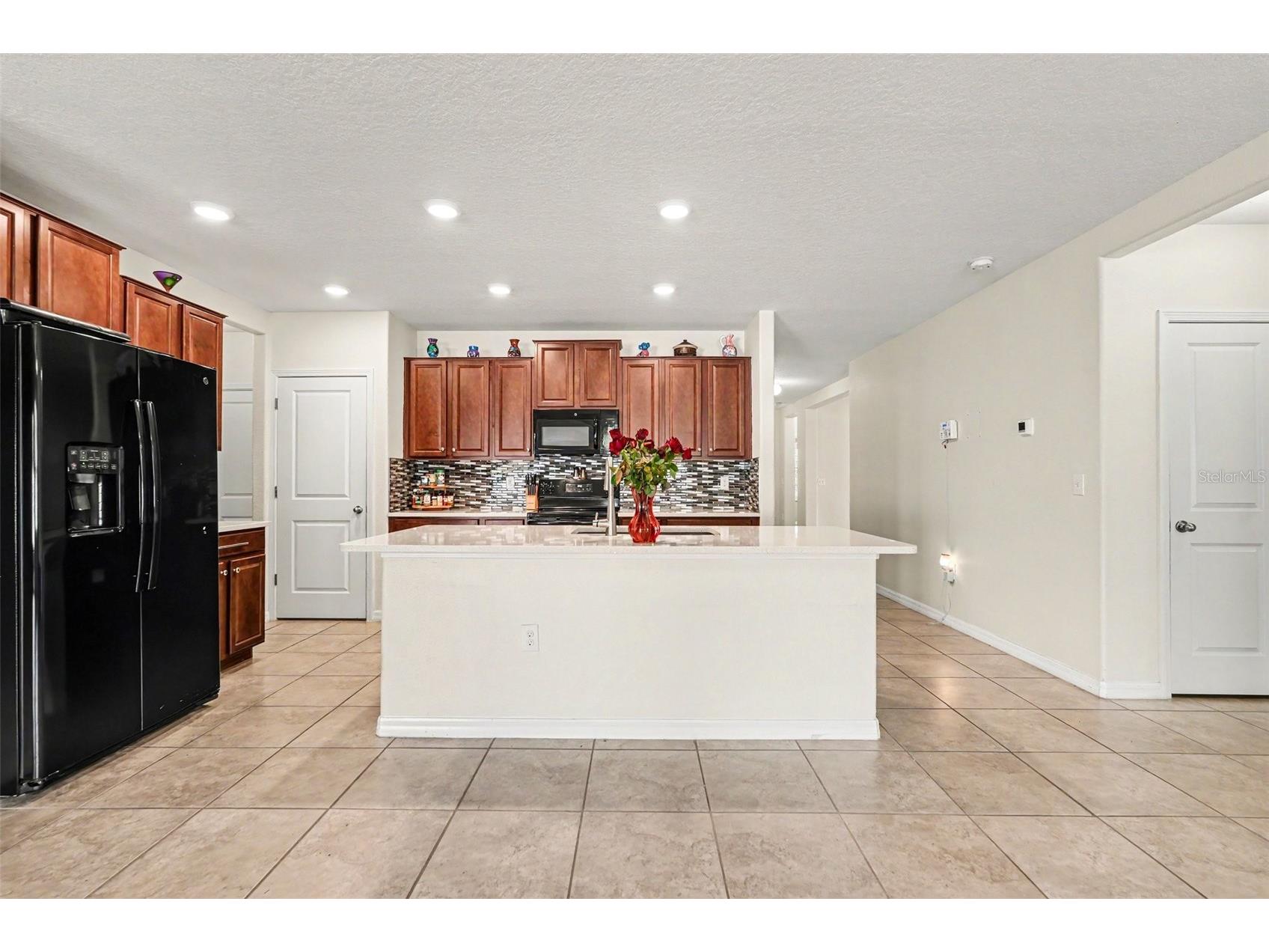 10022 Carloway Hills Drive Wimauma FL 33598 TB8520232 image6
