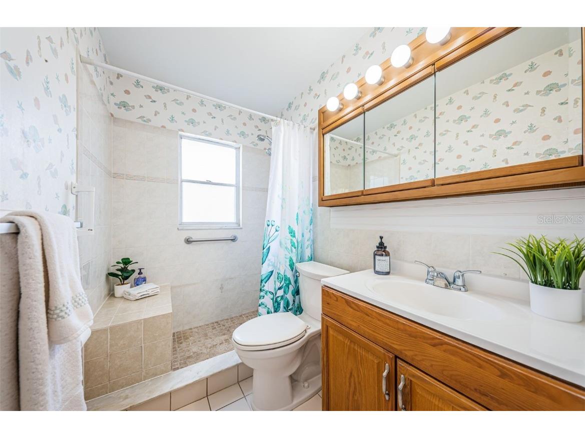 10022 Lily Street N #N Pinellas Park FL 33782 TB8348478 image11