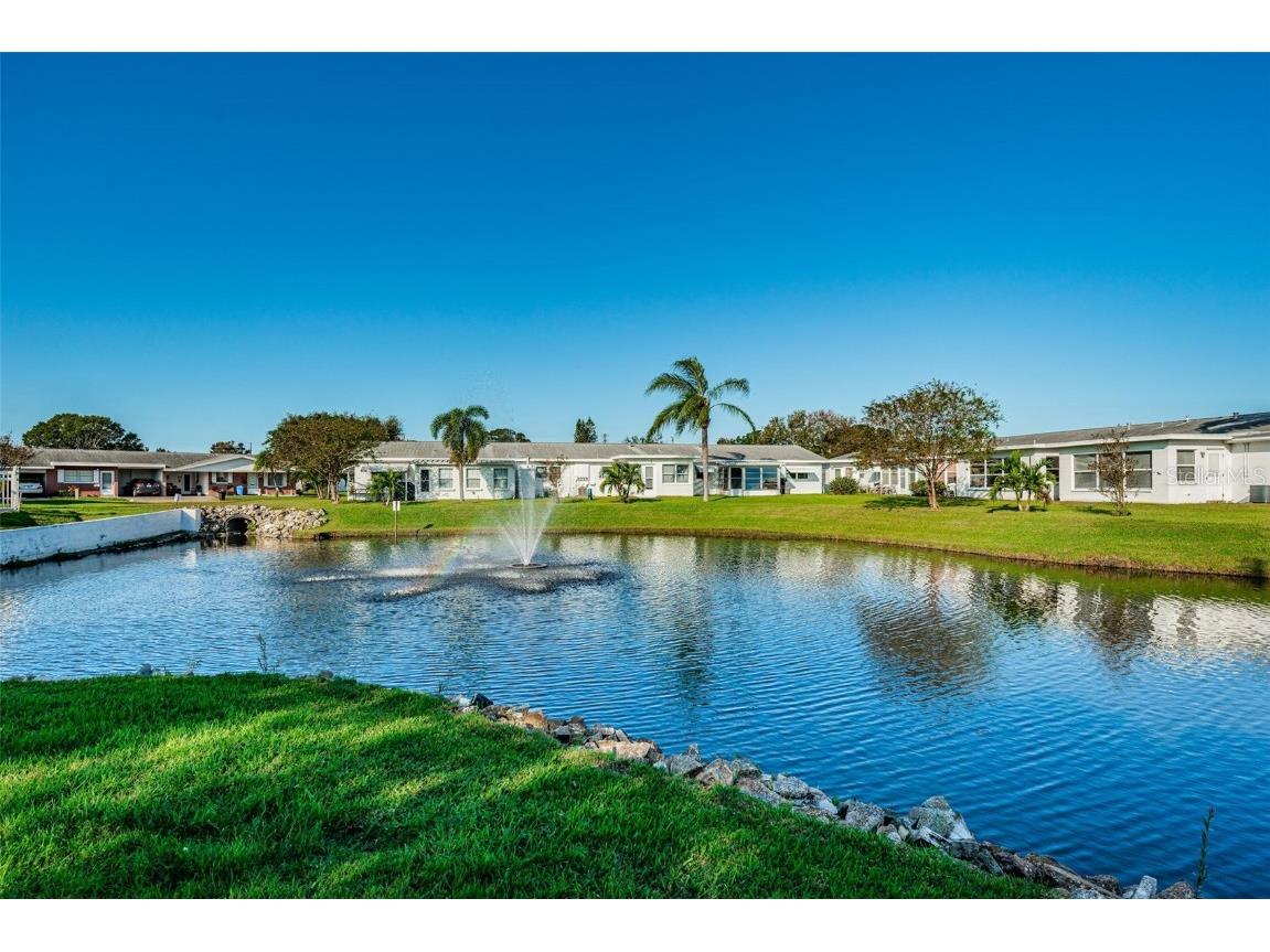 10022 Lily Street N #N Pinellas Park FL 33782 TB8348478 image24