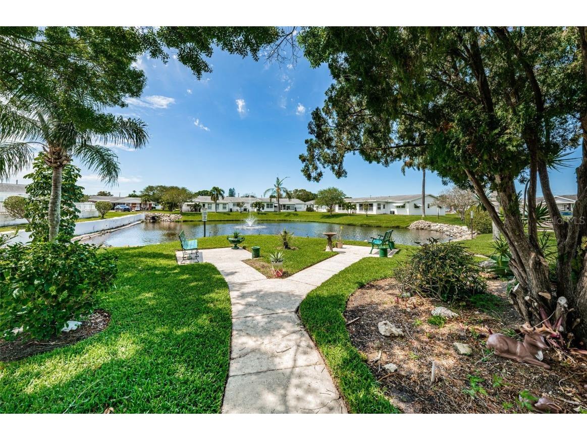 10022 Lily Street N #N Pinellas Park FL 33782 TB8348478 image34