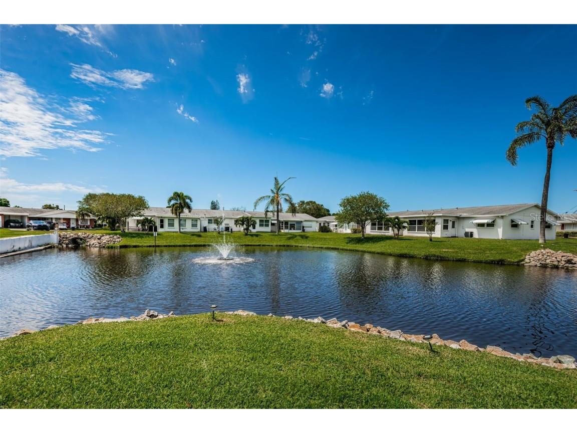 10022 Lily Street N #N Pinellas Park FL 33782 TB8348478 image36