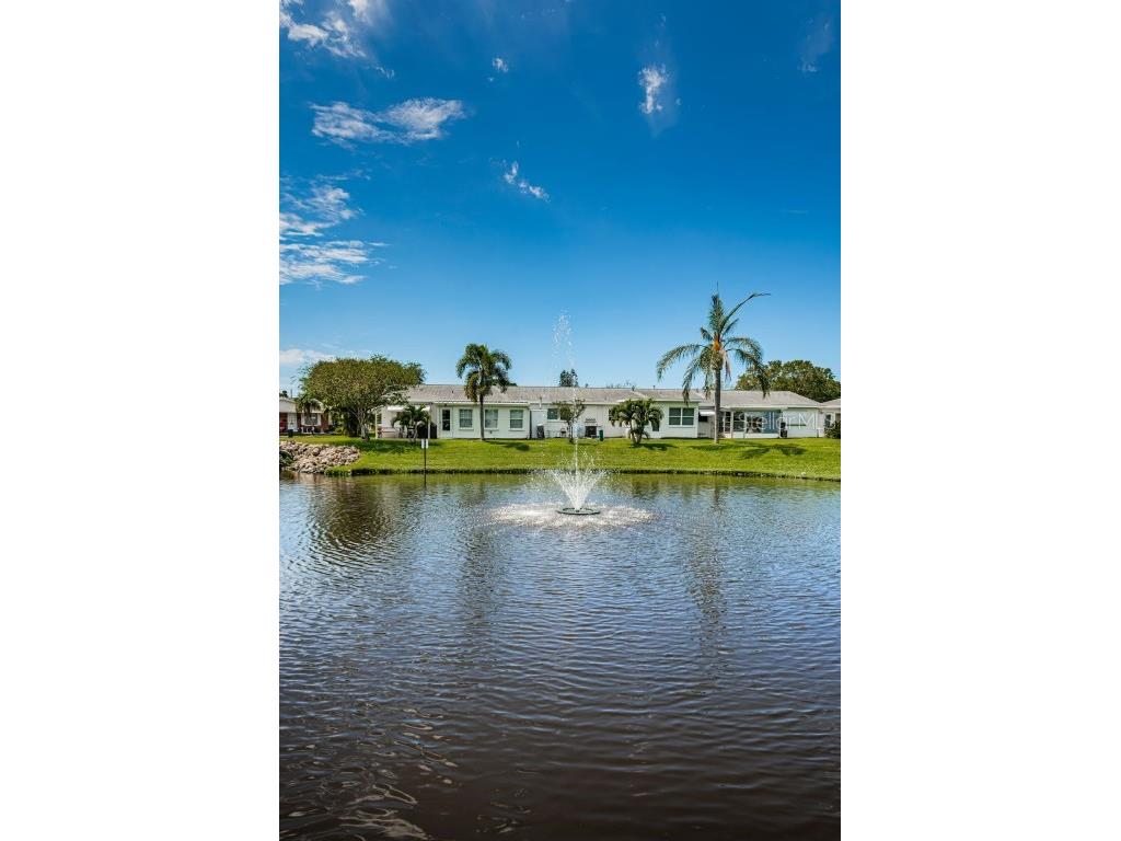 10022 Lily Street N #N Pinellas Park FL 33782 TB8348478 image37