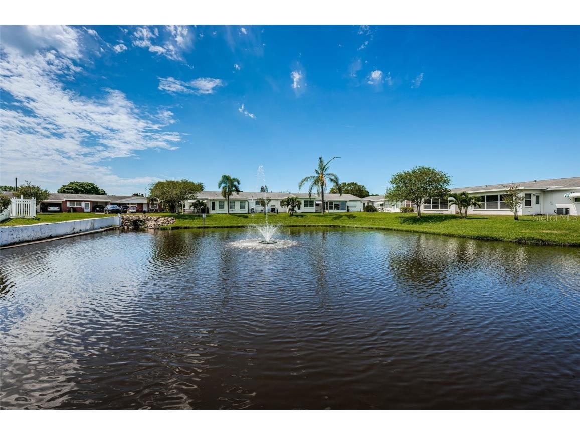 10022 Lily Street N #N Pinellas Park FL 33782 TB8348478 image38